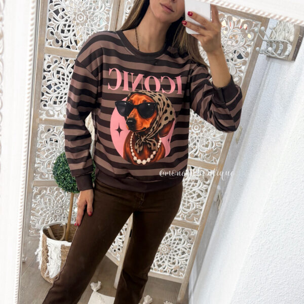 Sudadera Iconic